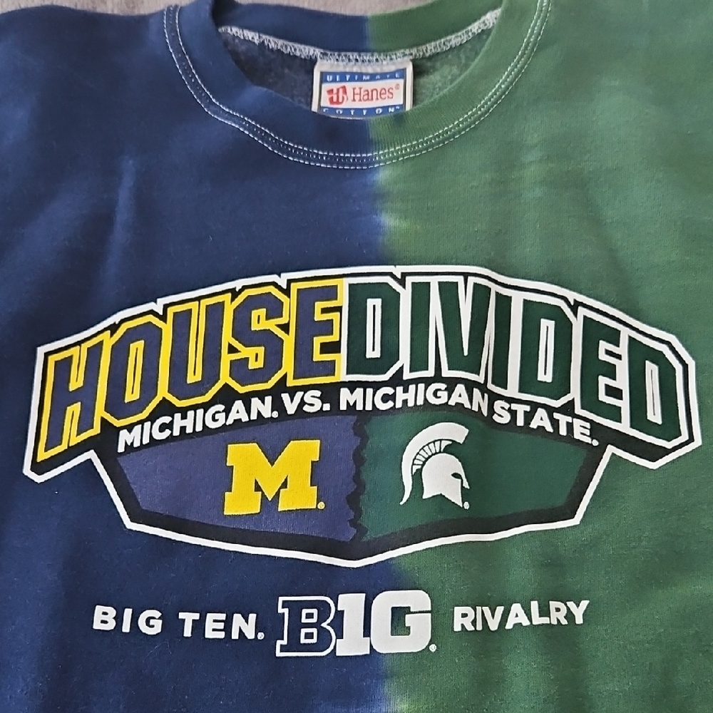 Hanes House Divided Men's Crewneck Sweater - Blue and Green - Picture 3 of 9